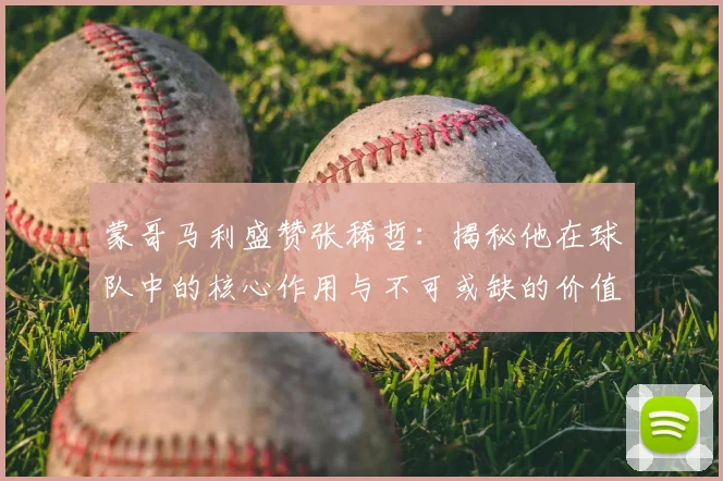 蒙哥马利盛赞张稀哲：揭秘他在球队中的核心作用与不可或缺的价值