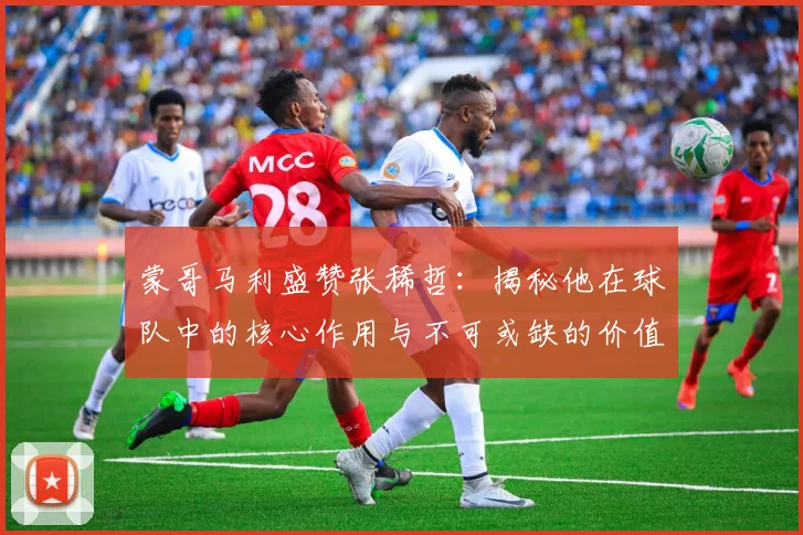 蒙哥马利盛赞张稀哲:揭秘他在球队中的核心作用与不可或缺的价值