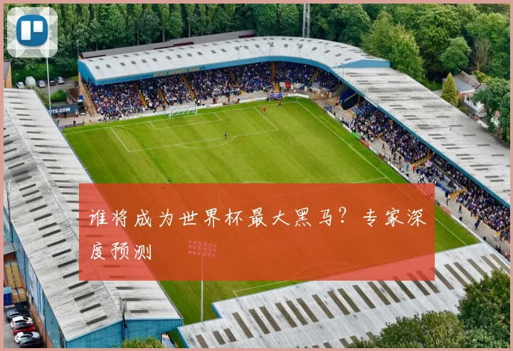 谁将成为世界杯最大黑马?专家深度预测